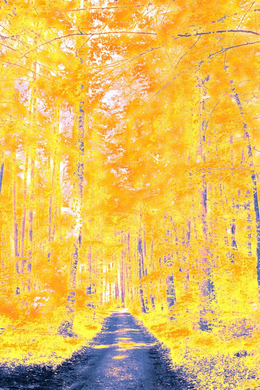 Spiritual healing through journaling and reflection guided by AuraCliq’s tarot coach